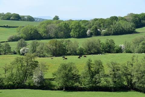 Welsh landscape
