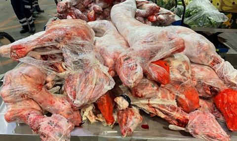 Sheep Carcasses DPHA illegal meat seizures Copy 