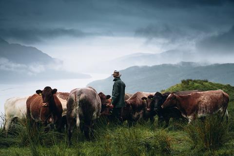 Stirlingshire Monitor Farmer, Bruce Duncan with his cattle on his farm in Inveruglas, looking onto Loch Lomond.