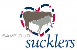 Ladies in Beef has launched its Save our Suckler campaign today.