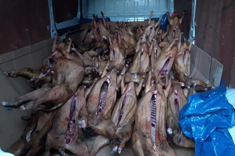 Sheep carcasses thought to be subject to smoking process discovered in a van in London Monday 25 November 2024