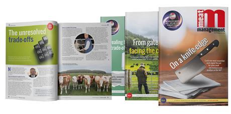 Meat Management magazine covers and inside spread
